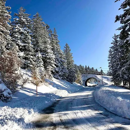 Ensoleille A Chamrousse, Proche Superette - Fr-1-549-1